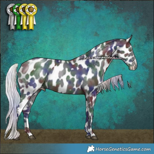 Horse Color:Nacre Silver Black Chinchilla Appaloosa