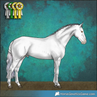 Horse Color:Nacre Silver Black Chinchilla Appaloosa 