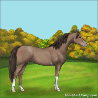 Horse Color:Classic Champagne Tobiano 