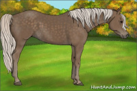 Horse Color:Silver Black 