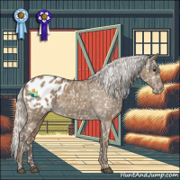 Horse Color:Silver Grullo Appaloosa 