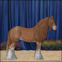 Horse Color:White Spotted Chestnut Sabino