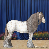Horse Color:Amber Champagne Sabino Tobiano Appaloosa  and Amber Champagne Dun Sabino Tobiano Appaloosa 