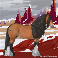 Horse Color:Bay Rabicano 