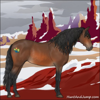Horse Color:Bay Rabicano 