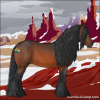 Horse Color:Bay Rabicano 