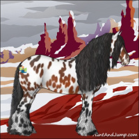 Horse Color:Bay Appaloosa Rabicano 