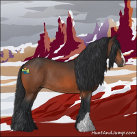 Horse Color:Bay Rabicano 