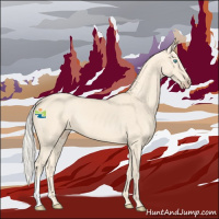 Horse Color:Cremello 