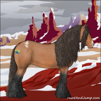 Horse Color:Bay Roan Appaloosa 