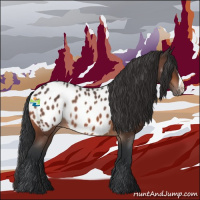 Horse Color:Bay Roan Appaloosa 