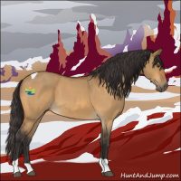 Horse Color:Buckskin Roan Dun Tobiano 