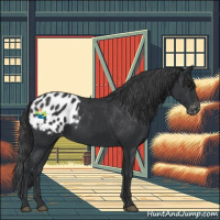 Horse Color:Black Appaloosa Rabicano 