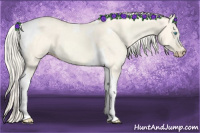 Horse Color:Cremello Dun Tobiano 