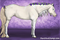 Horse Color:Perlino Dun Tobiano 
