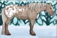 Horse Color:Silver Grullo Blanket