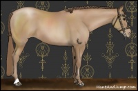 Horse Color:Black Pearl