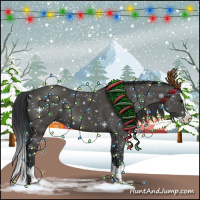 Horse Color:Black Splash 