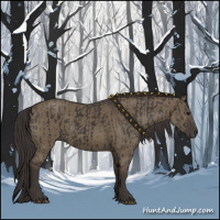 Horse Color:Smoky Black  and Smoky Grullo 