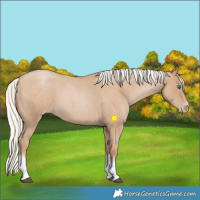 Horse Color:Silver Blue Roan Pearl Tobiano Frame 