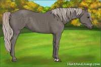 Horse Color:Silver Black 