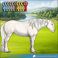Horse Color:Silver Smoky Grullo Pearl 