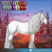 Horse Color:White Spotted Silver Grullo Snowflake Varnish 