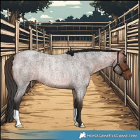 Horse Color:Bay Roan Rabicano