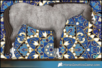 Horse Color:Liver Red Roan 