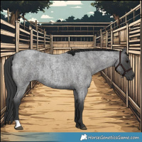 Horse Color:Blue Roan 
