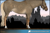 Horse Color:Chocolate Palomino Dun 