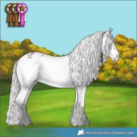 Horse Color:Silver Grullo Snowflake Varnish 