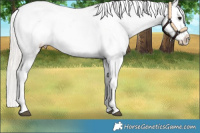 Horse Color:Silver Grullo Snowflake Varnish