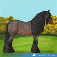 Horse Color:Brown Roan 