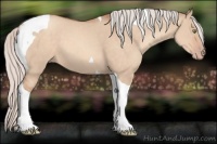 Horse Color:Silver Sable Champagne Dun Tobiano