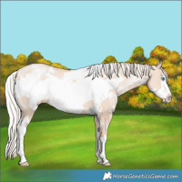 Horse Color:White Spotted Silver Classic Champagne Pearl Dun Frame 