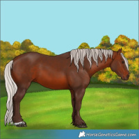 Horse Color:Silver Brown 