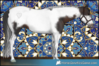 Horse Color:Brown Tobiano Frame 
