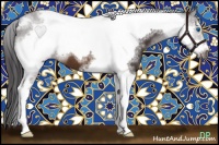 Horse Color:Buckskin Tobiano Frame 