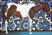 Horse Color:Bay Tobiano 
