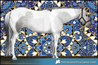 Horse Color:Brown Roan Dun Tobiano Rabicano 