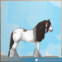 Horse Color:Bay Tobiano Frame 