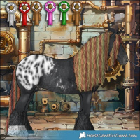 Horse Color:Platinum Painted Black Appaloosa Rabicano 
