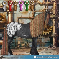 Horse Color:Platinum Painted Black Appaloosa Rabicano 