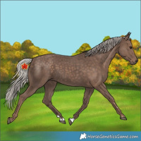 Horse Color:Unknown 