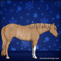 Horse Color:Chestnut Rabicano 