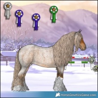 Horse Color:Chocolate Palomino Roan Tobiano