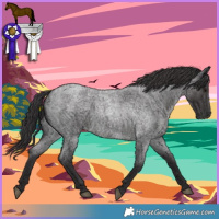 Horse Color:Smoky Blue Roan 