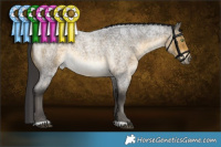 Horse Color:Buckskin Roan Rabicano