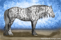 Horse Color:Smoky Black  and Gray Smoky Black 